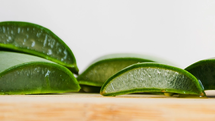ESI Aloe Fresh