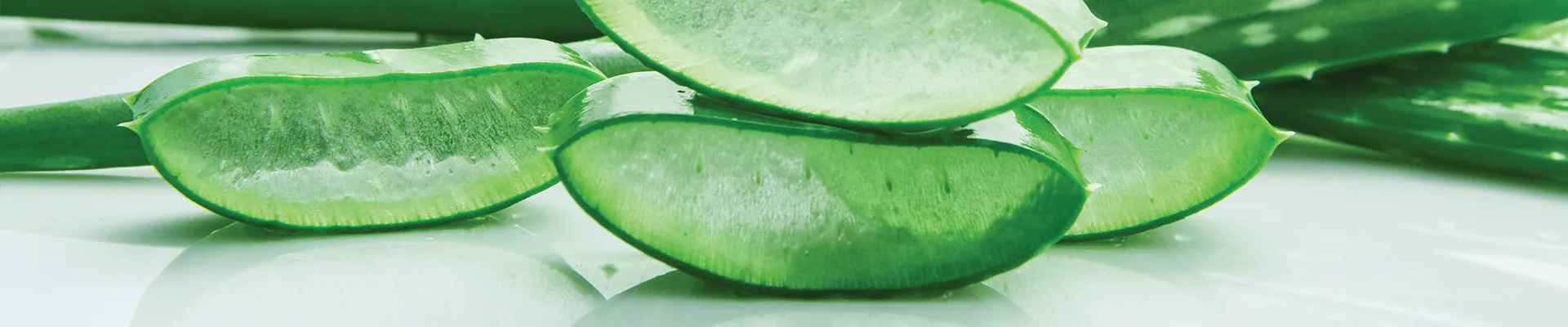 Aloe Vera ESI